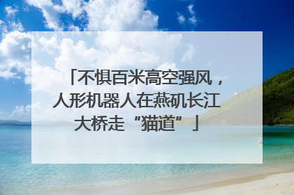 不惧百米高空强风，人形机器人在燕矶长江大桥走“猫道”