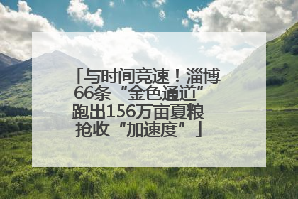 与时间竞速！淄博66条“金色通道”跑出156万亩夏粮抢收“加速度”
