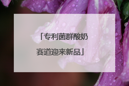 专利菌群酸奶赛道迎来新品