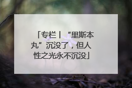 专栏丨“里斯本丸”沉没了，但人性之光永不沉没
