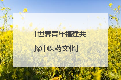 世界青年福建共探中医药文化