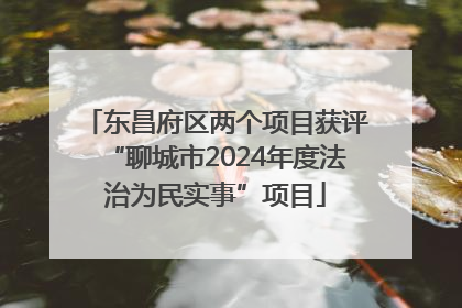 东昌府区两个项目获评“聊城市2024年度法治为民实事”项目
