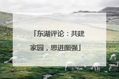 东湖评论：共建家园，思进图强