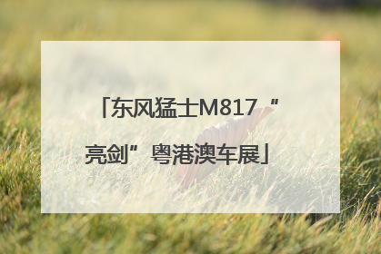 东风猛士M817“亮剑”粤港澳车展