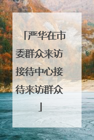 严华在市委群众来访接待中心接待来访群众