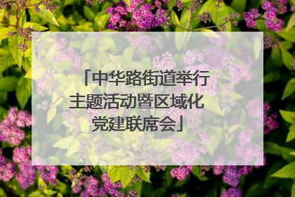 中华路街道举行主题活动暨区域化党建联席会