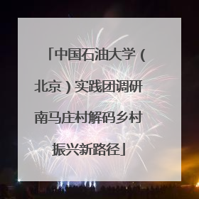 中国石油大学（北京）实践团调研南马庄村解码乡村振兴新路径