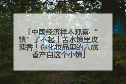 中国经济样本观察·“镇”了不起丨苦水镇里玫瑰香！你化妆品里的六成香产自这个小镇
