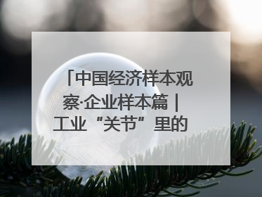 中国经济样本观察·企业样本篇｜工业“关节”里的硬核突围——老企业洛轴创新蝶变启示录