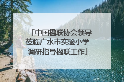 中国楹联协会领导莅临广水市实验小学调研指导楹联工作