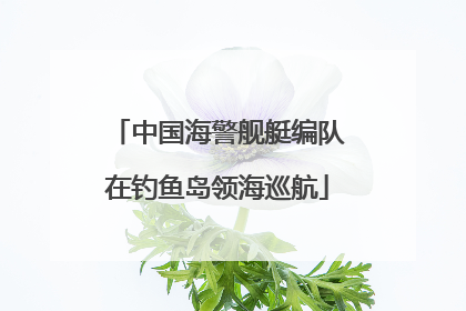 中国海警舰艇编队在钓鱼岛领海巡航