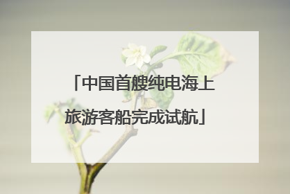 中国首艘纯电海上旅游客船完成试航