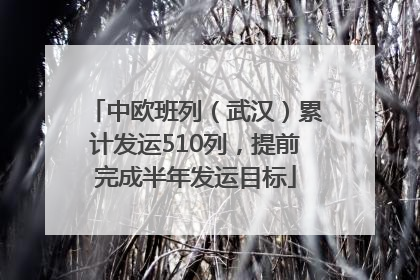 中欧班列（武汉）累计发运510列，提前完成半年发运目标