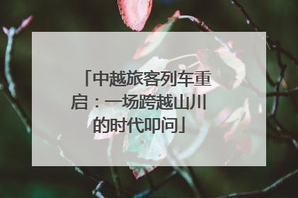 中越旅客列车重启：一场跨越山川的时代叩问