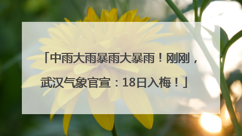 中雨大雨暴雨大暴雨！刚刚，武汉气象官宣：18日入梅！