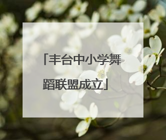 丰台中小学舞蹈联盟成立