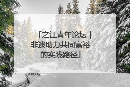 之江青年论坛｜非遗助力共同富裕的实践路径
