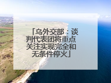 乌外交部：谈判代表团将重点关注实现完全和无条件停火