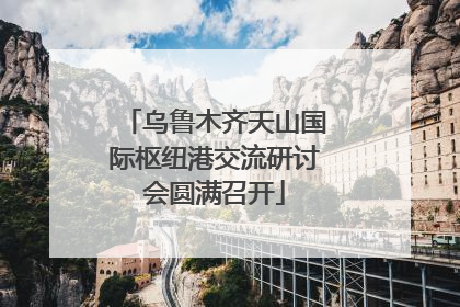乌鲁木齐天山国际枢纽港交流研讨会圆满召开