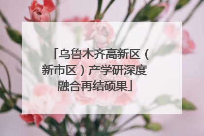 乌鲁木齐高新区（新市区）产学研深度融合再结硕果