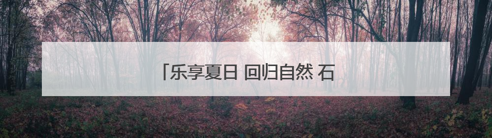 乐享夏日 回归自然 石家庄乡村采摘游正当时