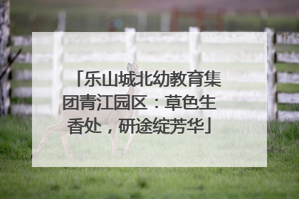 乐山城北幼教育集团青江园区：草色生香处，研途绽芳华