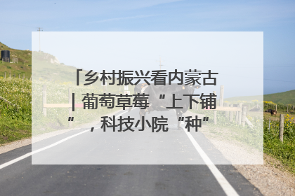 乡村振兴看内蒙古｜葡萄草莓“上下铺”，科技小院“种”出三倍效益