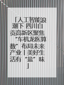 人工智能浪潮下 四川自贡高新区聚焦“车机龙医算数”布局未来产业丨美好生活有“盐”味