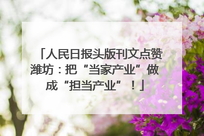 人民日报头版刊文点赞潍坊：把“当家产业”做成“担当产业”！