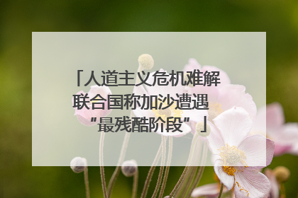 人道主义危机难解 联合国称加沙遭遇“最残酷阶段”