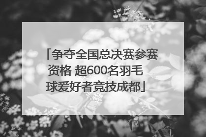 争夺全国总决赛参赛资格 超600名羽毛球爱好者竞技成都