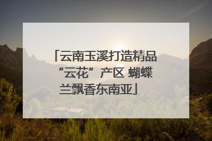 云南玉溪打造精品“云花”产区 蝴蝶兰飘香东南亚