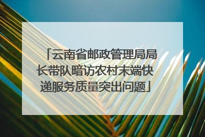 云南省邮政管理局局长带队暗访农村末端快递服务质量突出问题