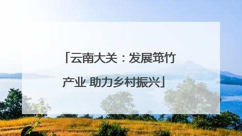 云南大关：发展筇竹产业 助力乡村振兴