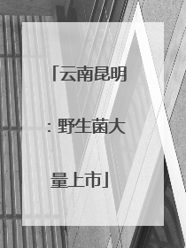 云南昆明：野生菌大量上市