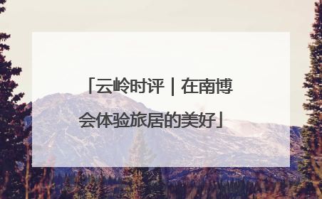 云岭时评｜在南博会体验旅居的美好