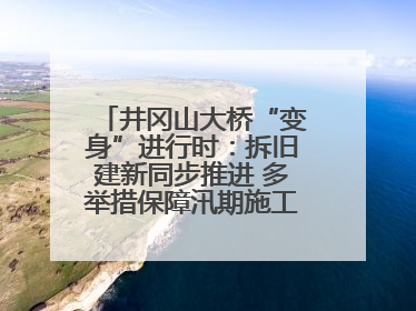 井冈山大桥“变身”进行时：拆旧建新同步推进 多举措保障汛期施工（图）