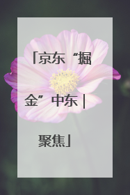 京东“掘金”中东｜聚焦