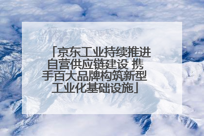 京东工业持续推进自营供应链建设 携手百大品牌构筑新型工业化基础设施