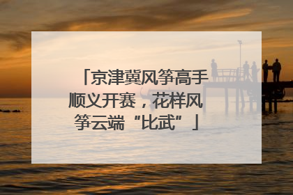 京津冀风筝高手顺义开赛，花样风筝云端“比武”