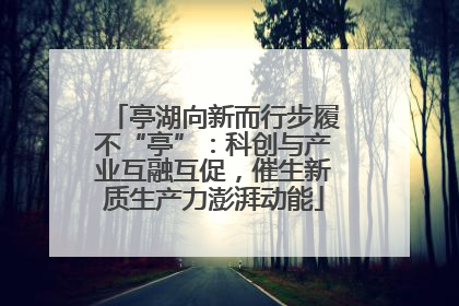 亭湖向新而行步履不“亭”：科创与产业互融互促，催生新质生产力澎湃动能