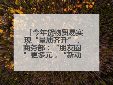 今年货物贸易实现“量质齐升”，商务部：“朋友圈”更多元，“新动能”加快集聚