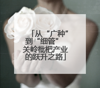 从“广种”到“细管” 关岭枇杷产业的跃升之路