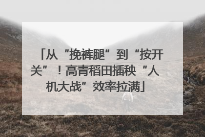 从“挽裤腿”到“按开关”！高青稻田插秧“人机大战”效率拉满