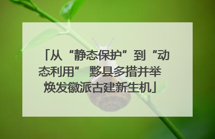 从“静态保护”到“动态利用” 黟县多措并举焕发徽派古建新生机