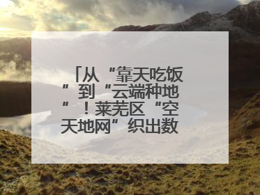 从“靠天吃饭”到“云端种地”！莱芜区“空天地网”织出数字农业新图景