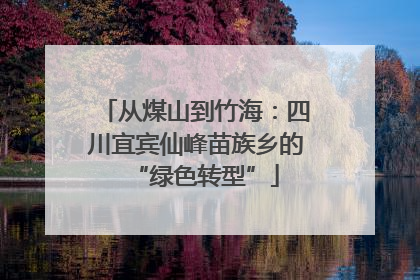 从煤山到竹海：四川宜宾仙峰苗族乡的“绿色转型”