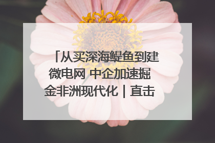 从买深海鳀鱼到建微电网 中企加速掘金非洲现代化｜直击中非经贸博览会