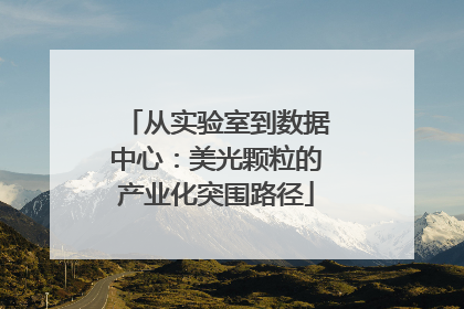 从实验室到数据中心：美光颗粒的产业化突围路径