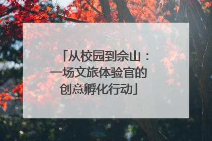 从校园到佘山：一场文旅体验官的创意孵化行动